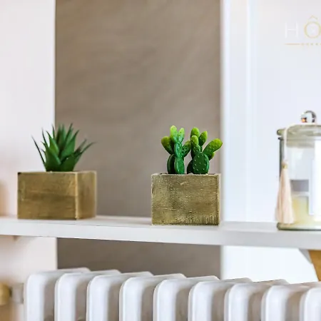 Joli T2 Equipe A Deux Pas Du Littoral Appartement *