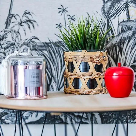 Joli T2 Equipe A Deux Pas Du Littoral 公寓 莱萨布勒-多洛讷