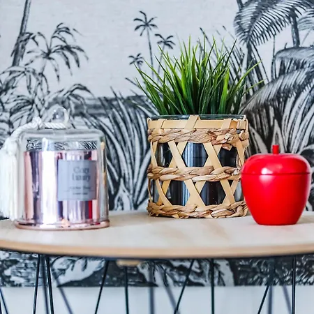 Joli T2 Equipe A Deux Pas Du Littoral *